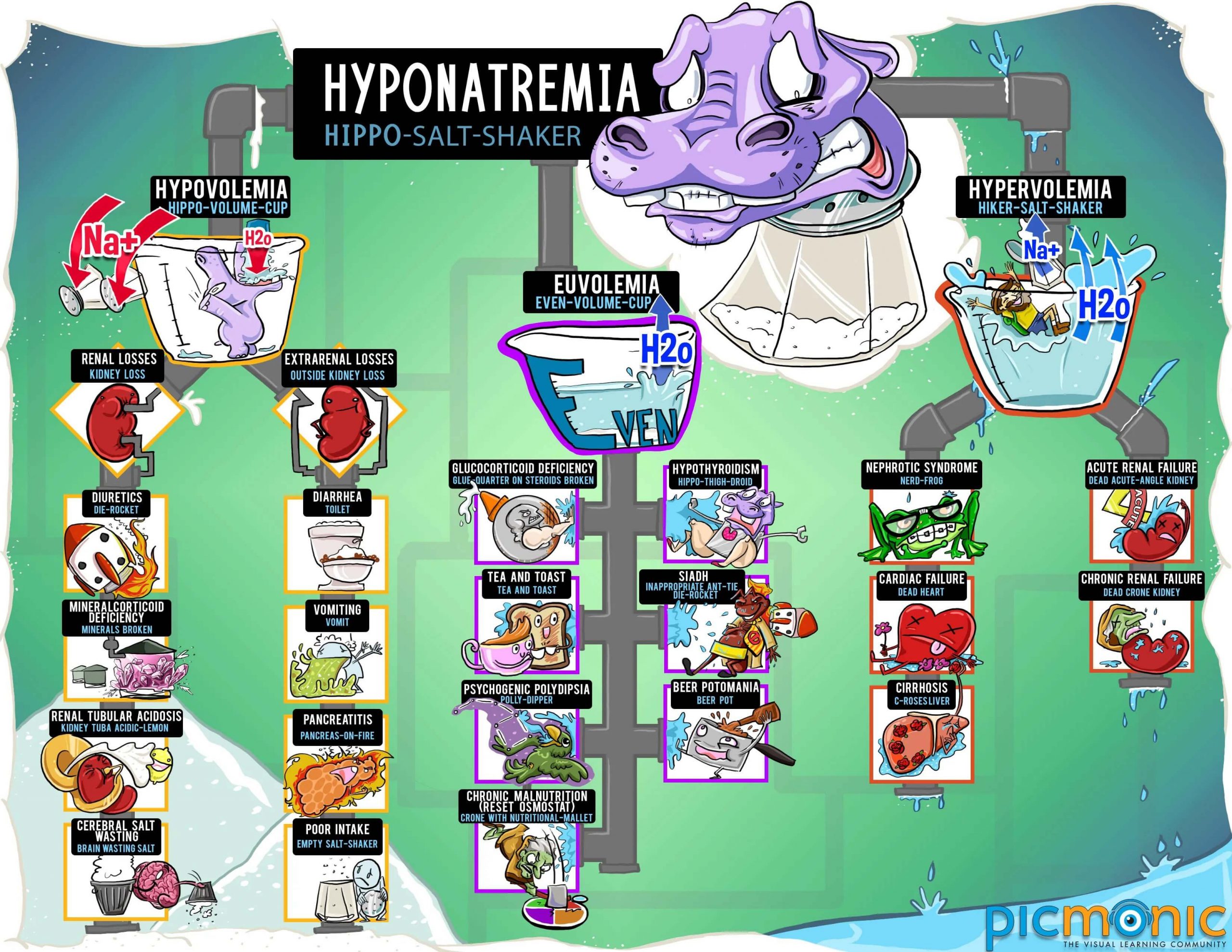 Hyponatremia inforgraphic