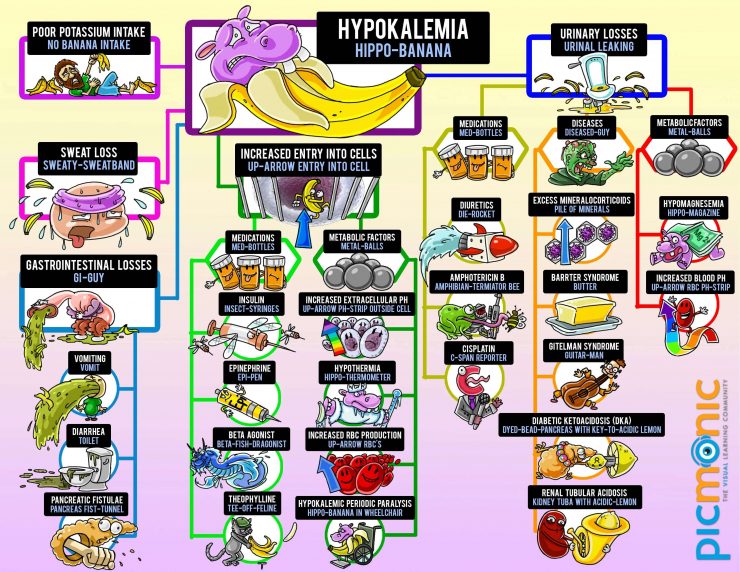 Electrolyte Disorders - Picmonic