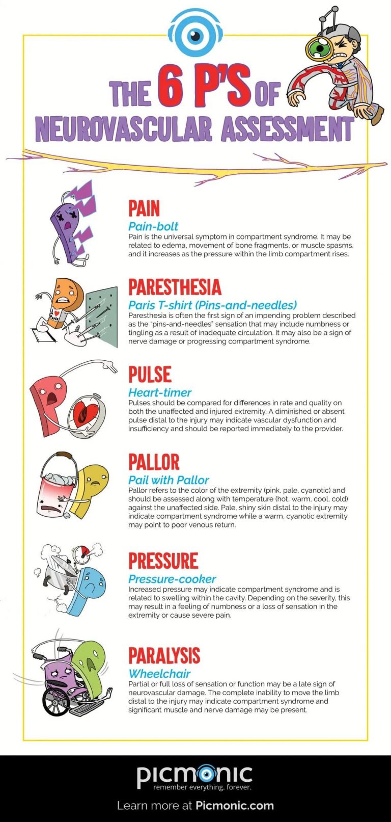 [Infographic] How to Study: Neurovascular Assessment 6 P's