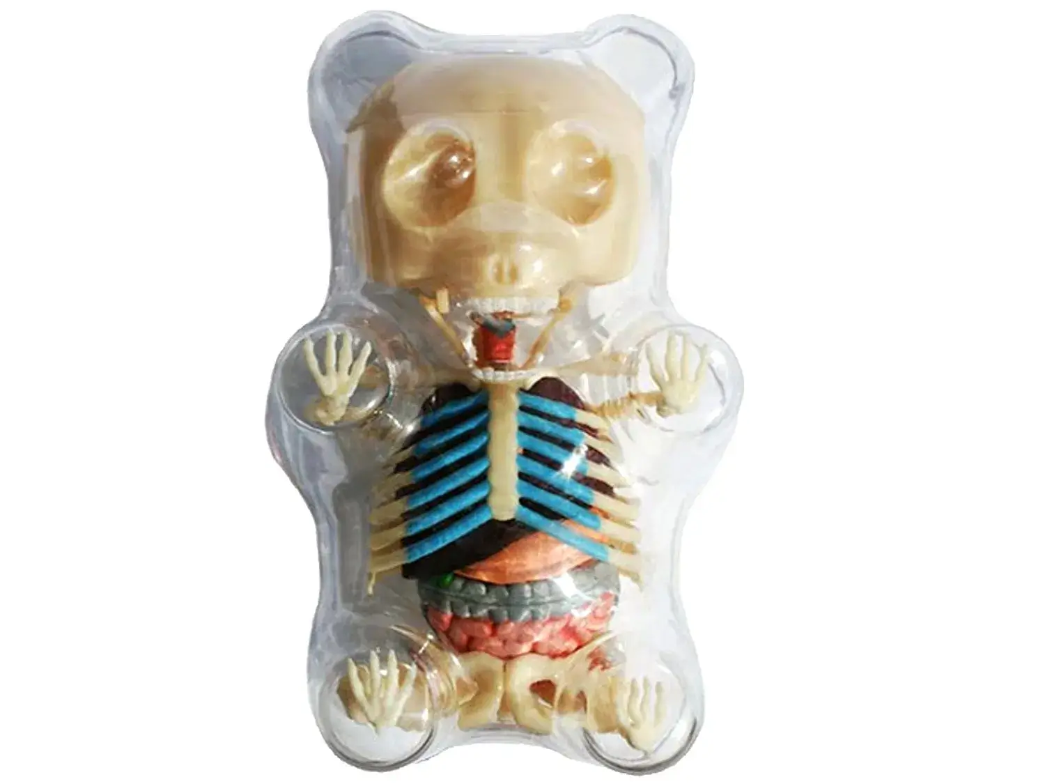 gummy bear with visible skeleton
