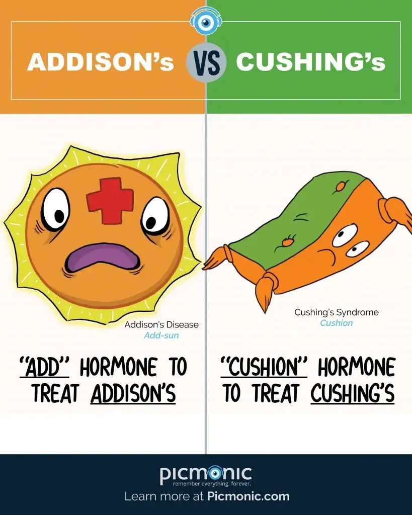 Addison's vs Cushing's mnemonic