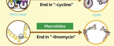 Antibiotic Names