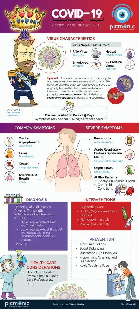 infographic about COVID 19