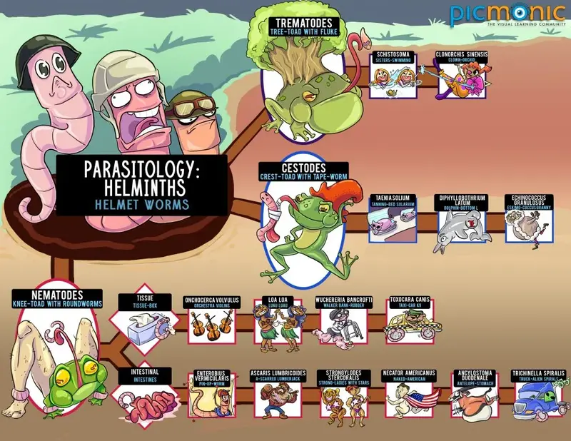 parasitology helminths infographic