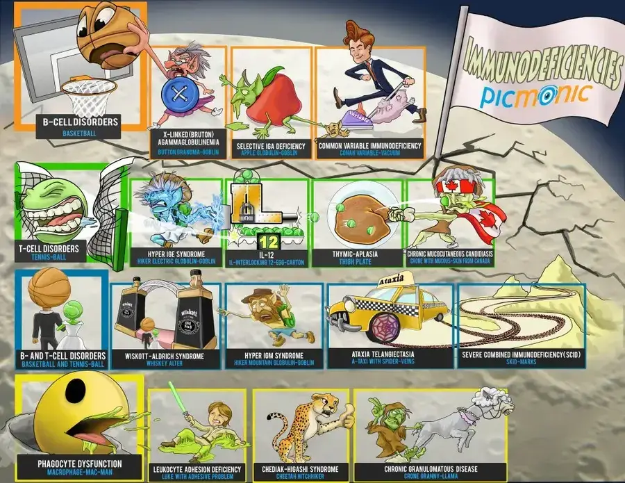 immunodeficiencies infographic