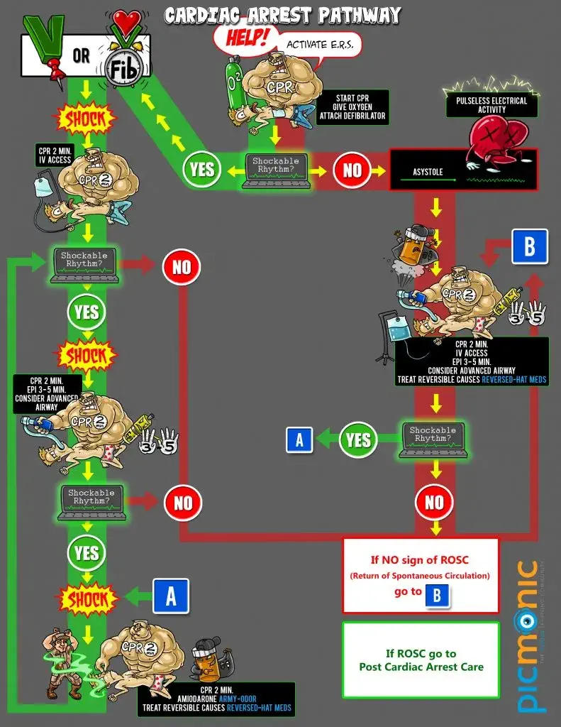 cardia arrest pathway infographic