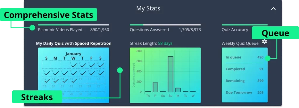 screenshot of picmonic stats dashboard