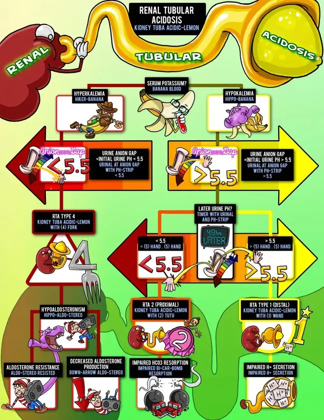 renal tubular acidosis infographic