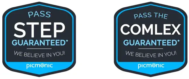 Step and COMLEX pass guarantee badges
