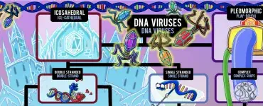 virus dna study